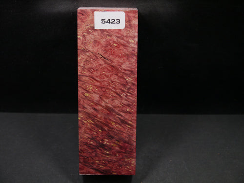 Stabilized Dyed Box Elder Block SW5423