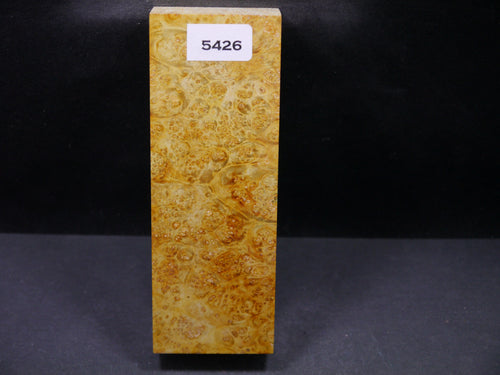 Stabilized Dyed Box Elder Block SW5426
