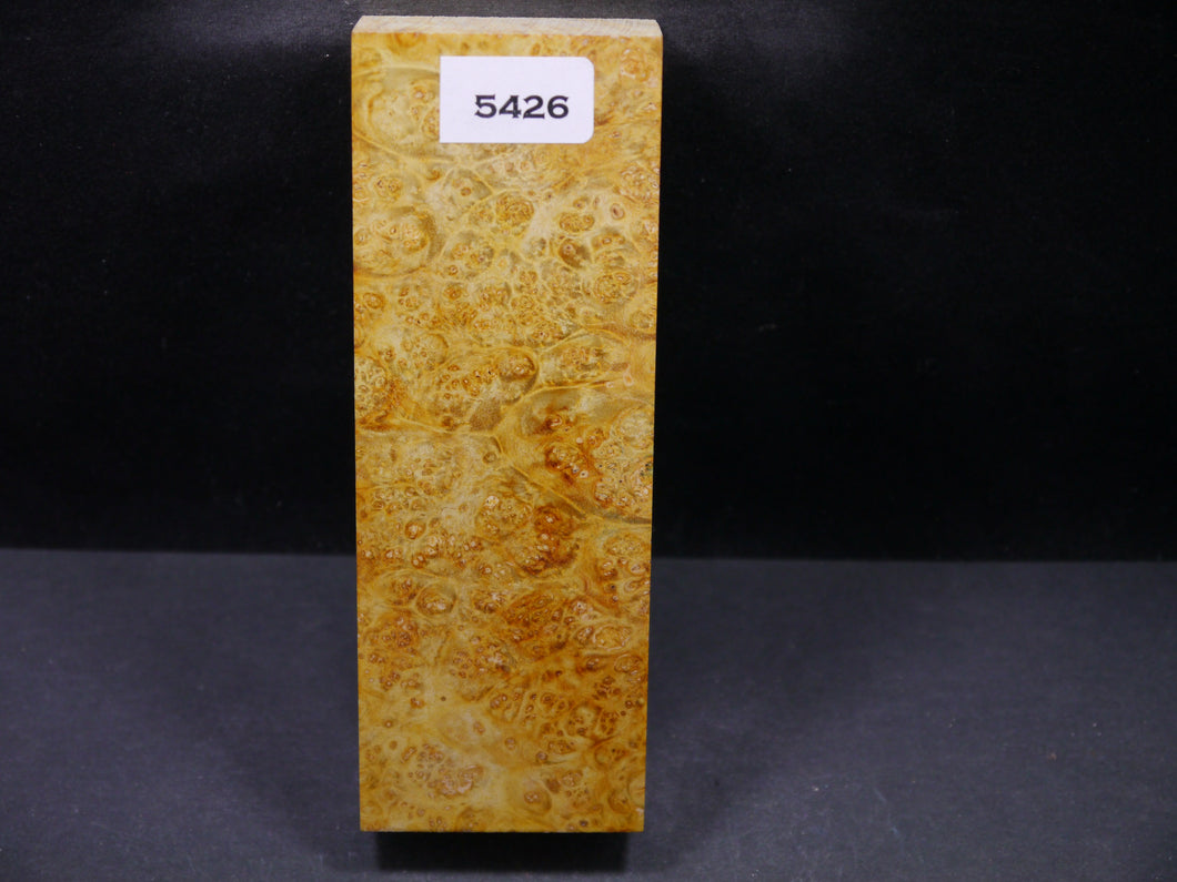 Stabilized Dyed Box Elder Block SW5426