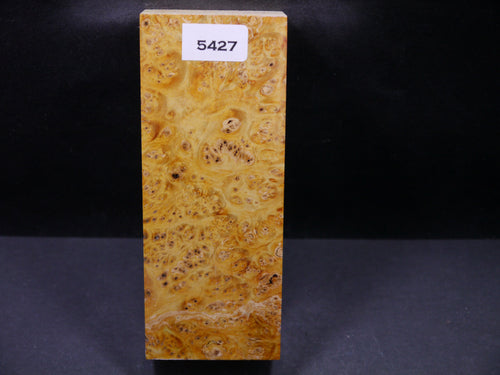 Stabilized Dyed Box Elder Block SW5427