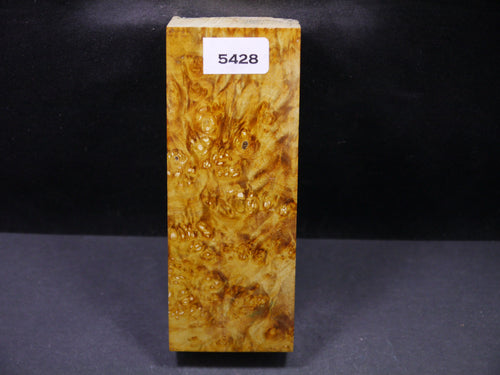 Stabilized Dyed Box Elder Block SW5428