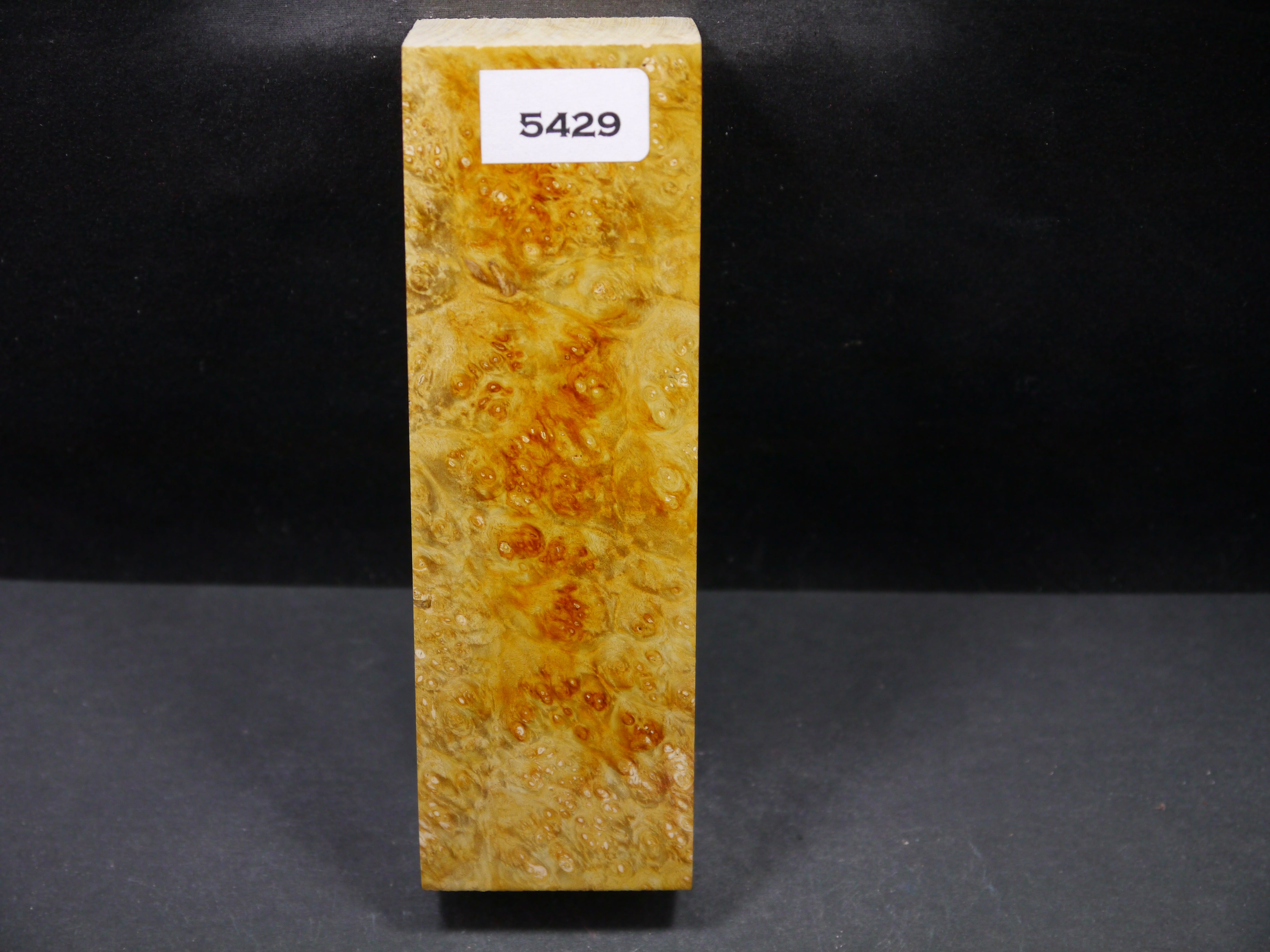 Stabilized Dyed Box Elder Block SW5429