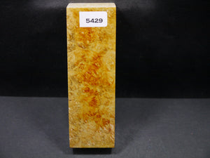 Stabilized Dyed Box Elder Block SW5429