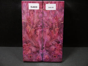 Stabilized Double Dyed Buckeye Scales SW5469