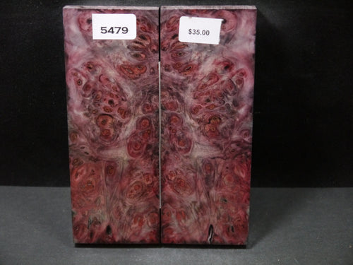 Stabilized Double Dyed Buckeye Scales SW5479