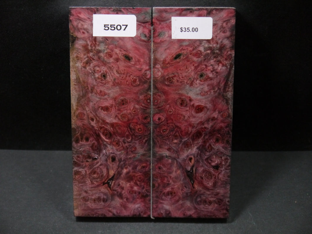 Stabilized Double Dyed Buckeye Scales SW5507