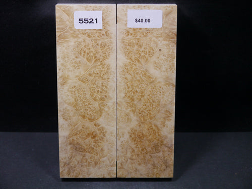 Stabilized Box Elder Scales SW5521