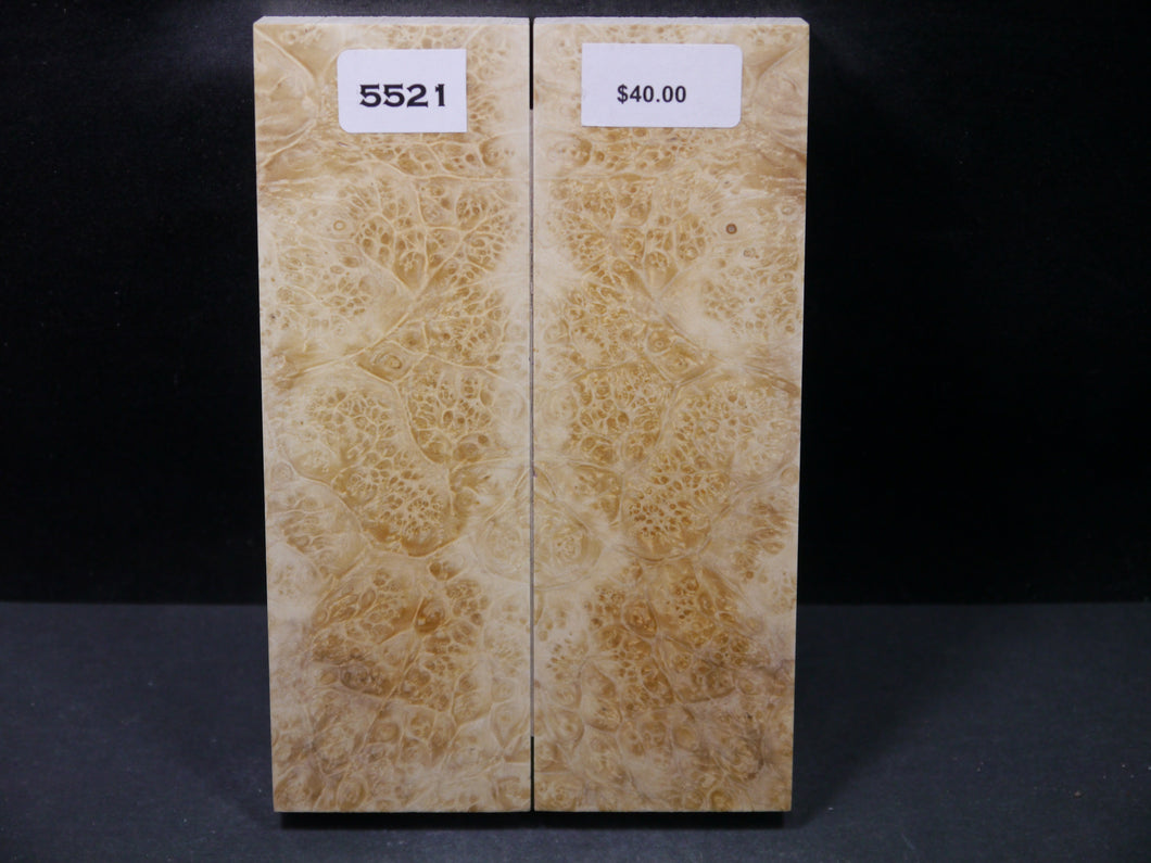 Stabilized Box Elder Scales SW5521