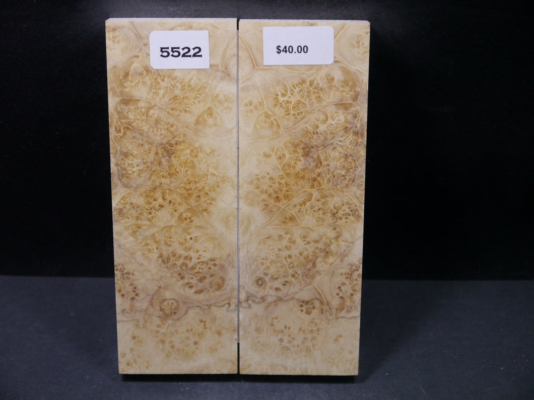 Stabilized Box Elder Scales SW5522