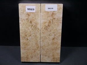 Stabilized Box Elder Scales SW5523