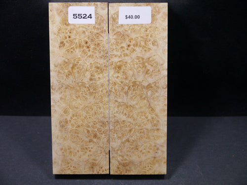 Stabilized Box Elder Scales SW5524