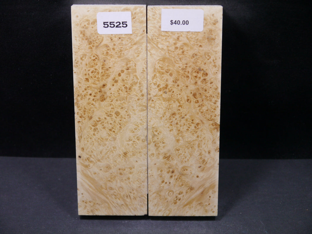 Stabilized Box Elder Scales SW5525