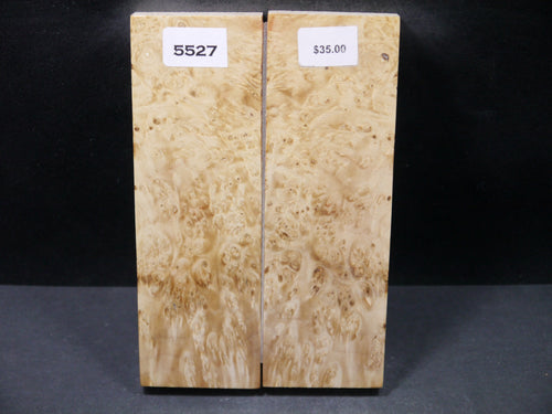 Stabilized Box Elder Scales SW5527