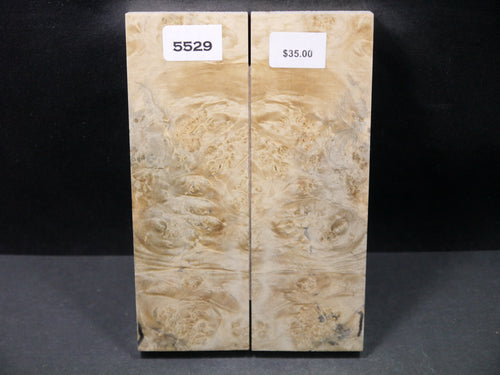 Stabilized Box Elder Scales SW5529