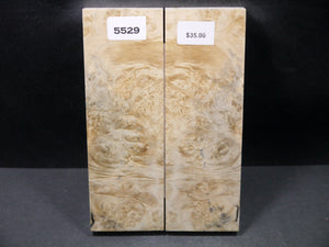 Stabilized Box Elder Scales SW5529