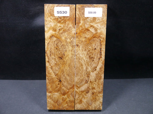 Stabilized Yellow Cedar Burl Scales SW5530