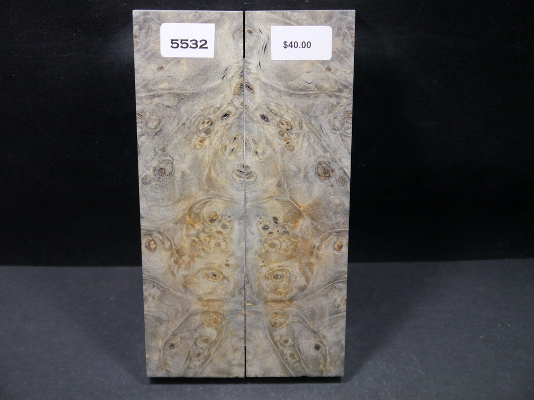 Stabilized Buckeye Scales SW5532