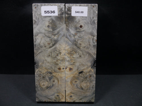 Stabilized Buckeye Scales SW5536