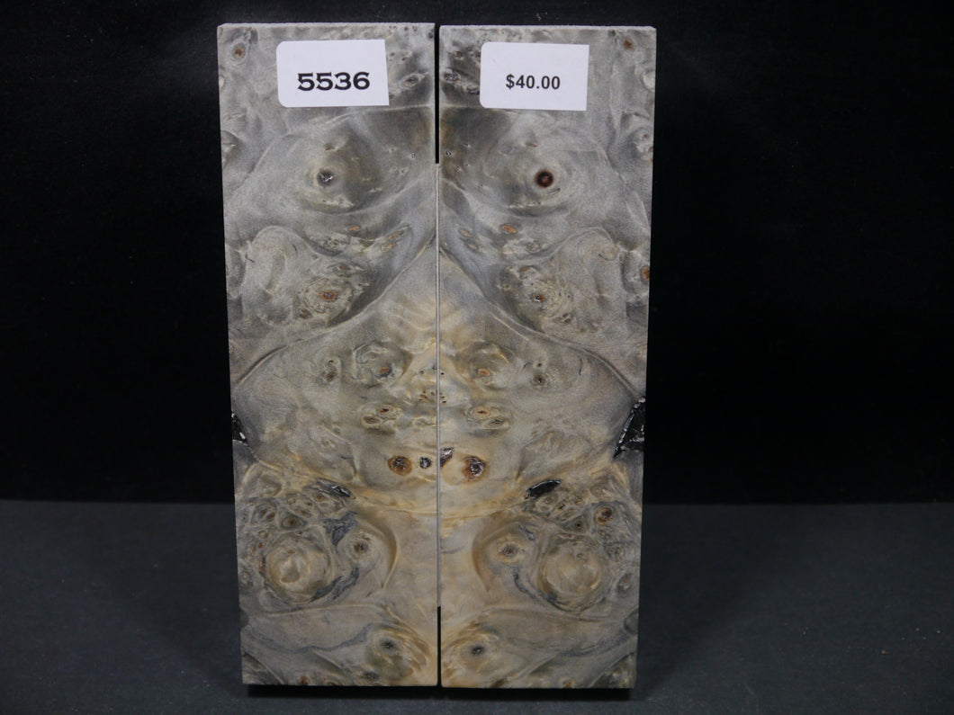 Stabilized Buckeye Scales SW5536