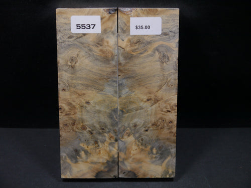Stabilized Buckeye Scales SW5537