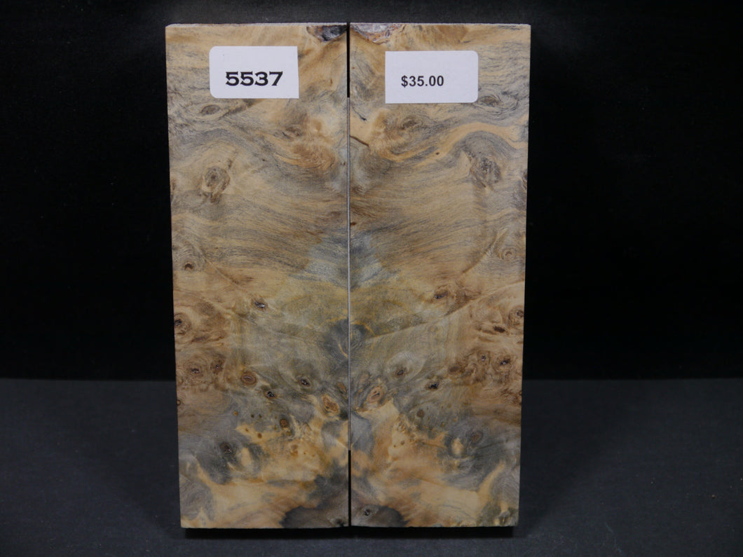 Stabilized Buckeye Scales SW5537