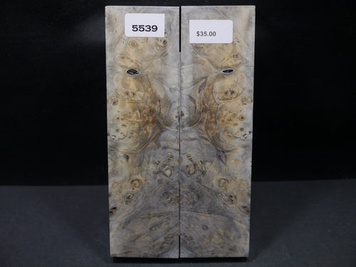 Stabilized Buckeye Scales SW5539