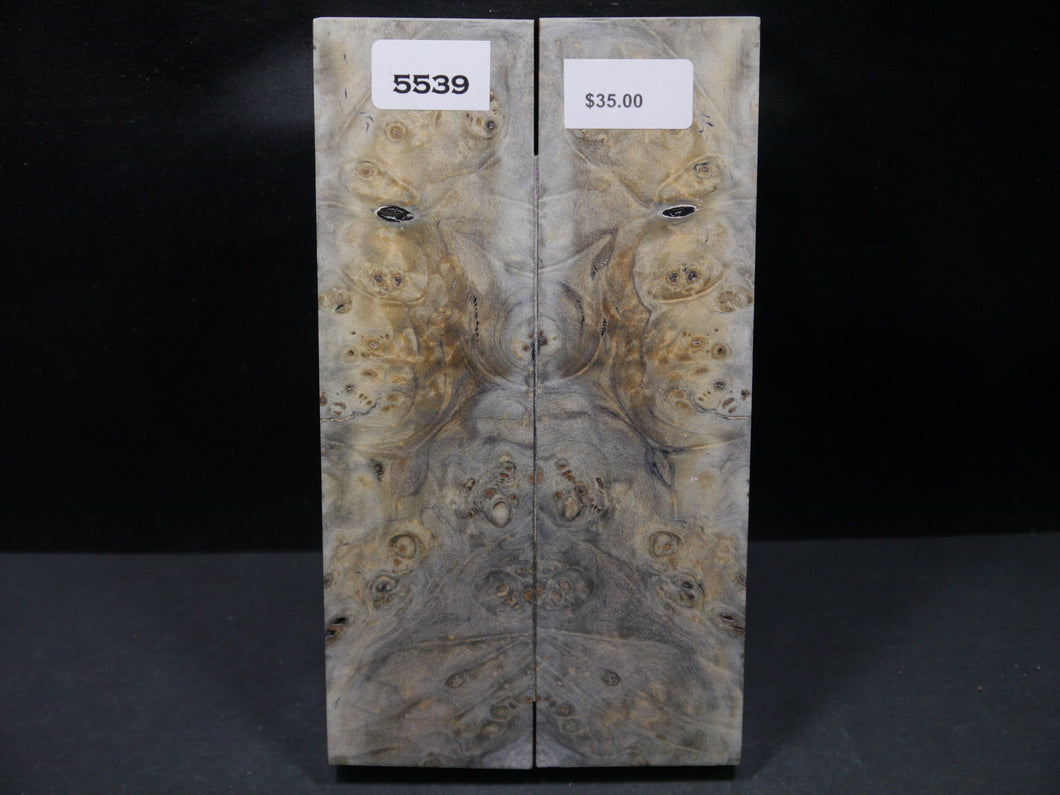 Stabilized Buckeye Scales SW5539