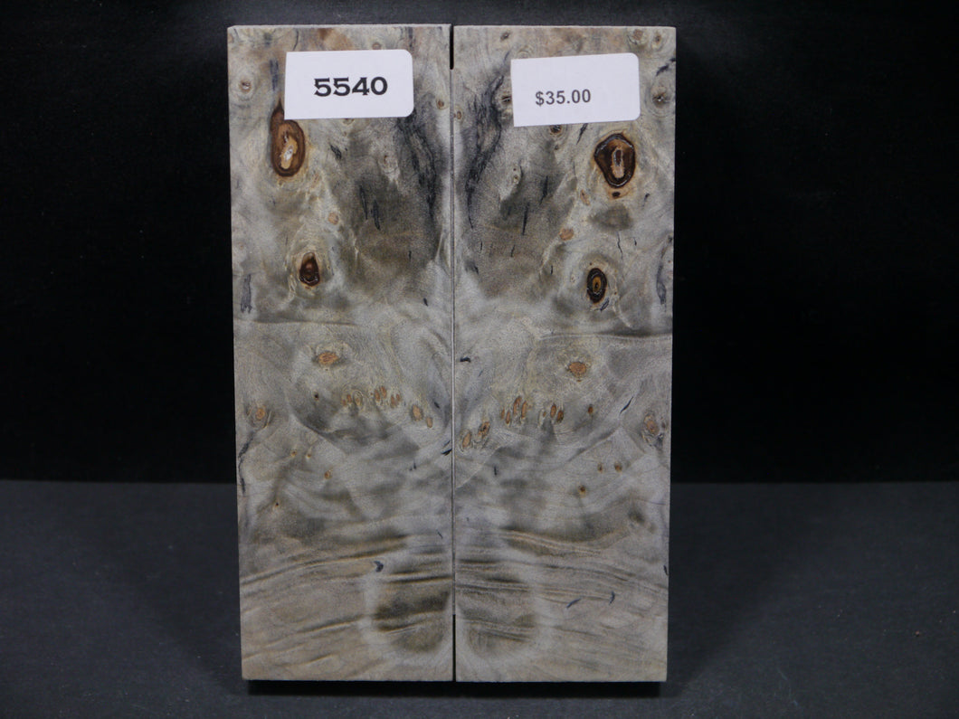 Stabilized Buckeye Scales SW5540