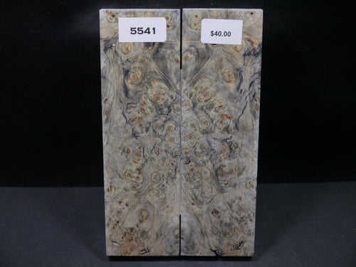 Stabilized Buckeye Scales SW5541