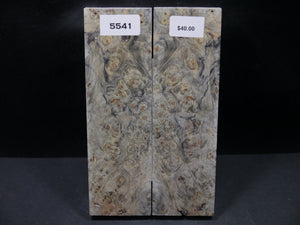 Stabilized Buckeye Scales SW5541