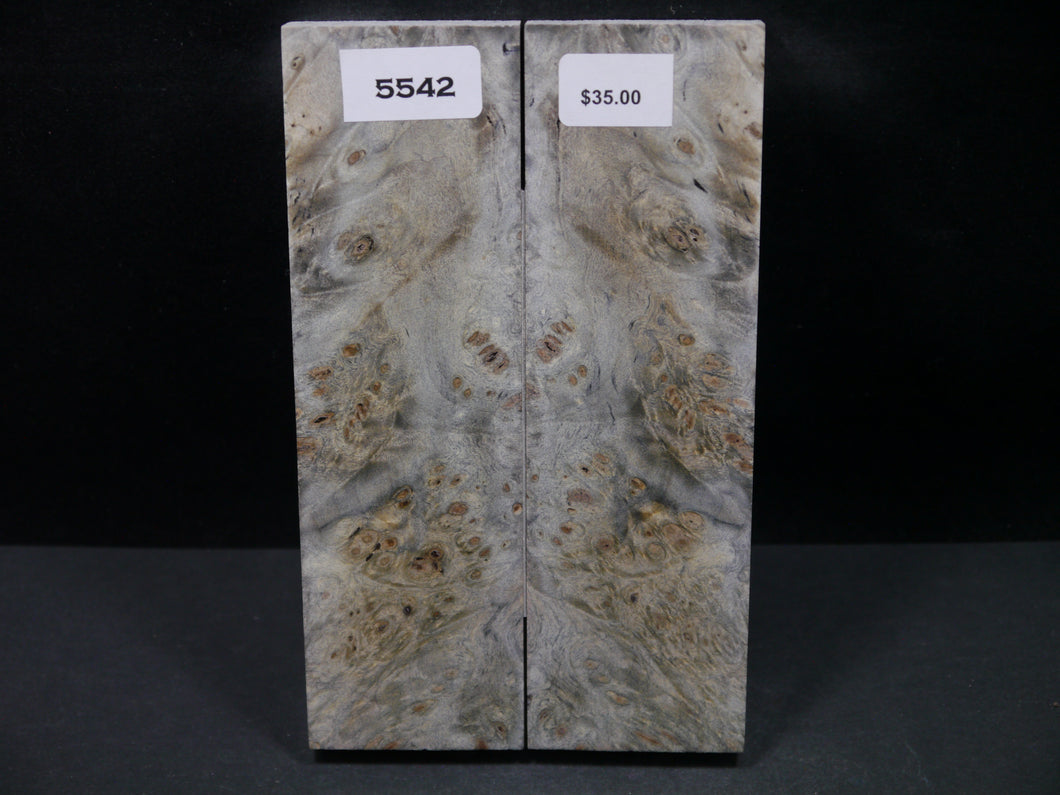 Stabilized Buckeye Scales SW5542