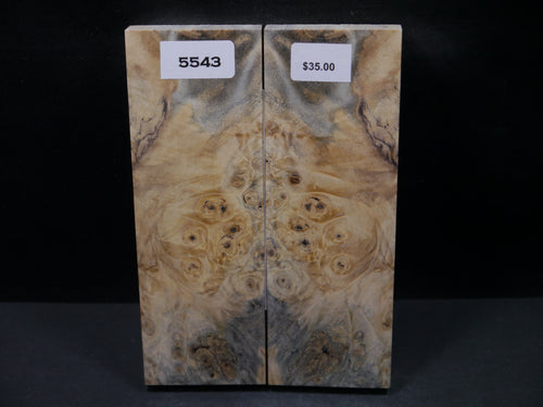 Stabilized Buckeye Scales SW5543