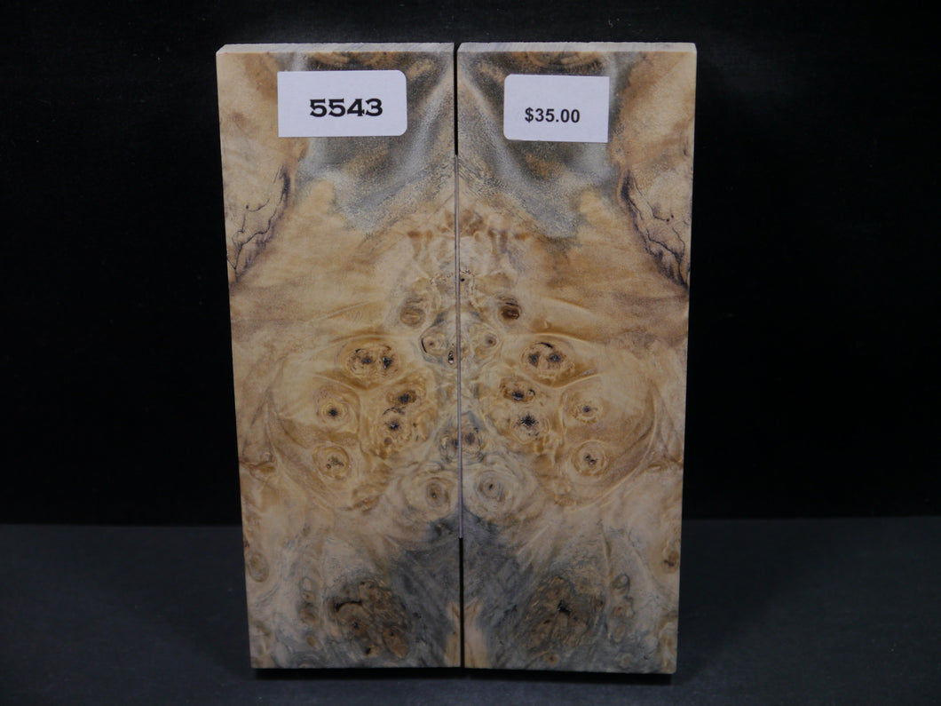 Stabilized Buckeye Scales SW5543