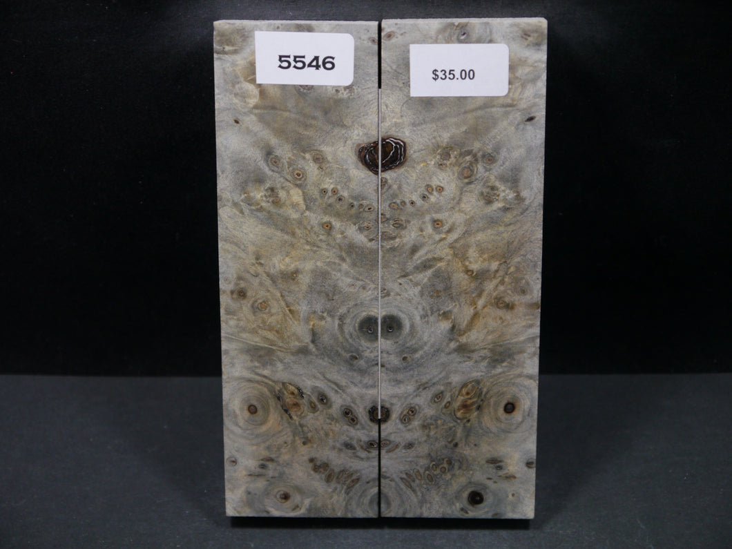Stabilized Buckeye Scales SW5546