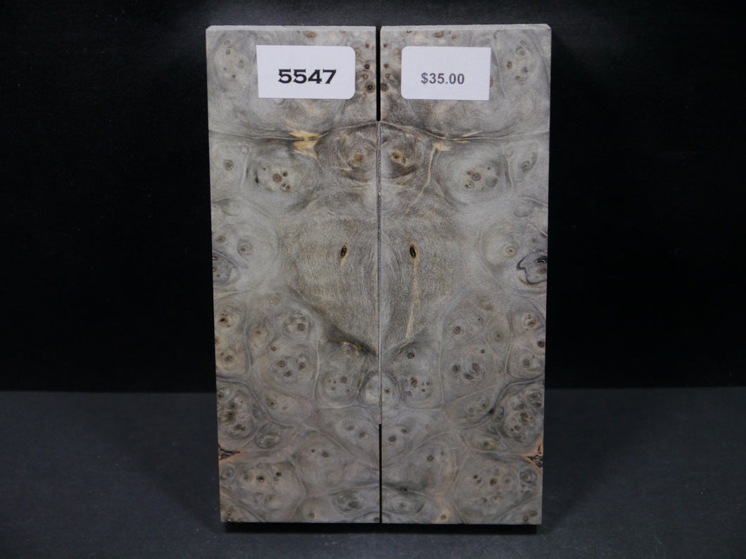 Stabilized Buckeye Scales SW5547