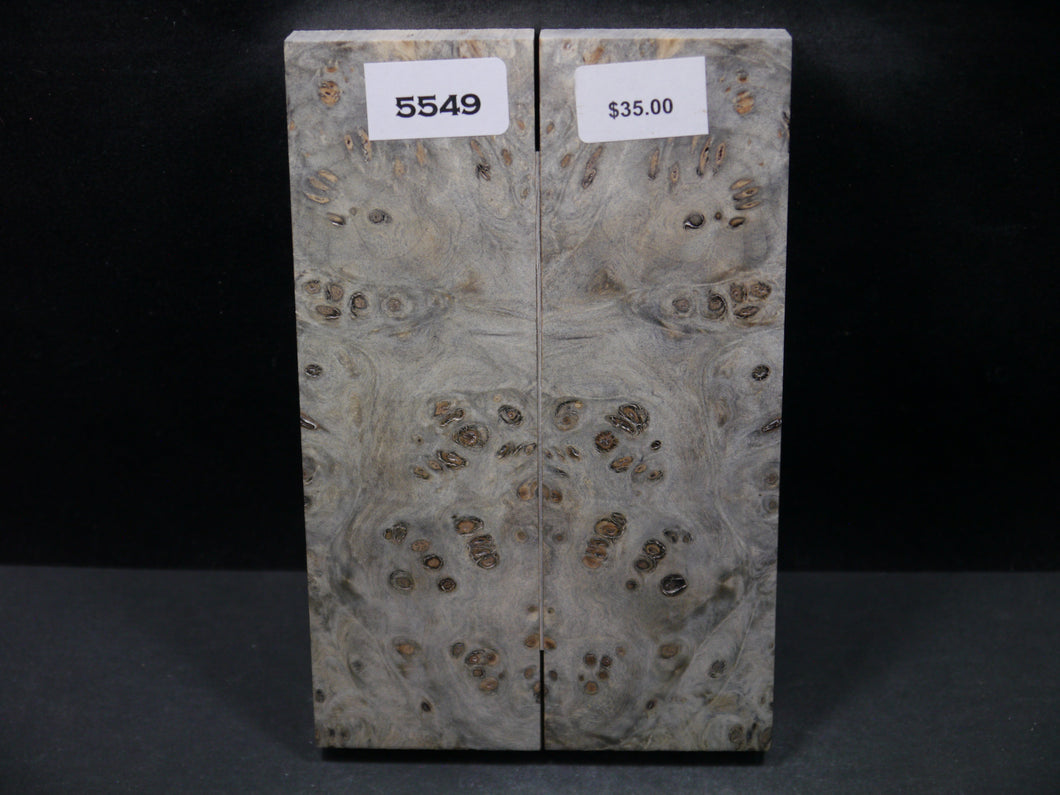 Stabilized Buckeye Scales SW5549