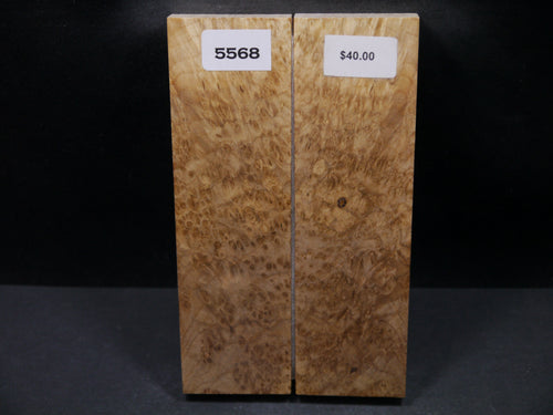 Stabilized Black Ash Burl Scales SW5568