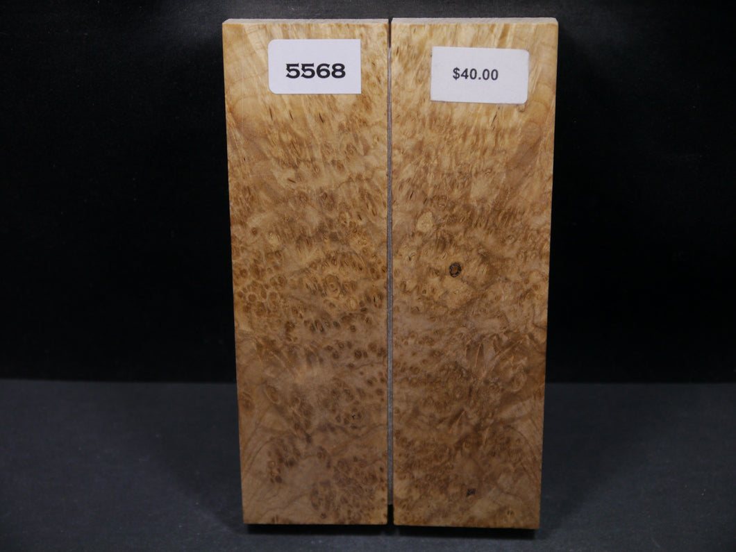 Stabilized Black Ash Burl Scales SW5568