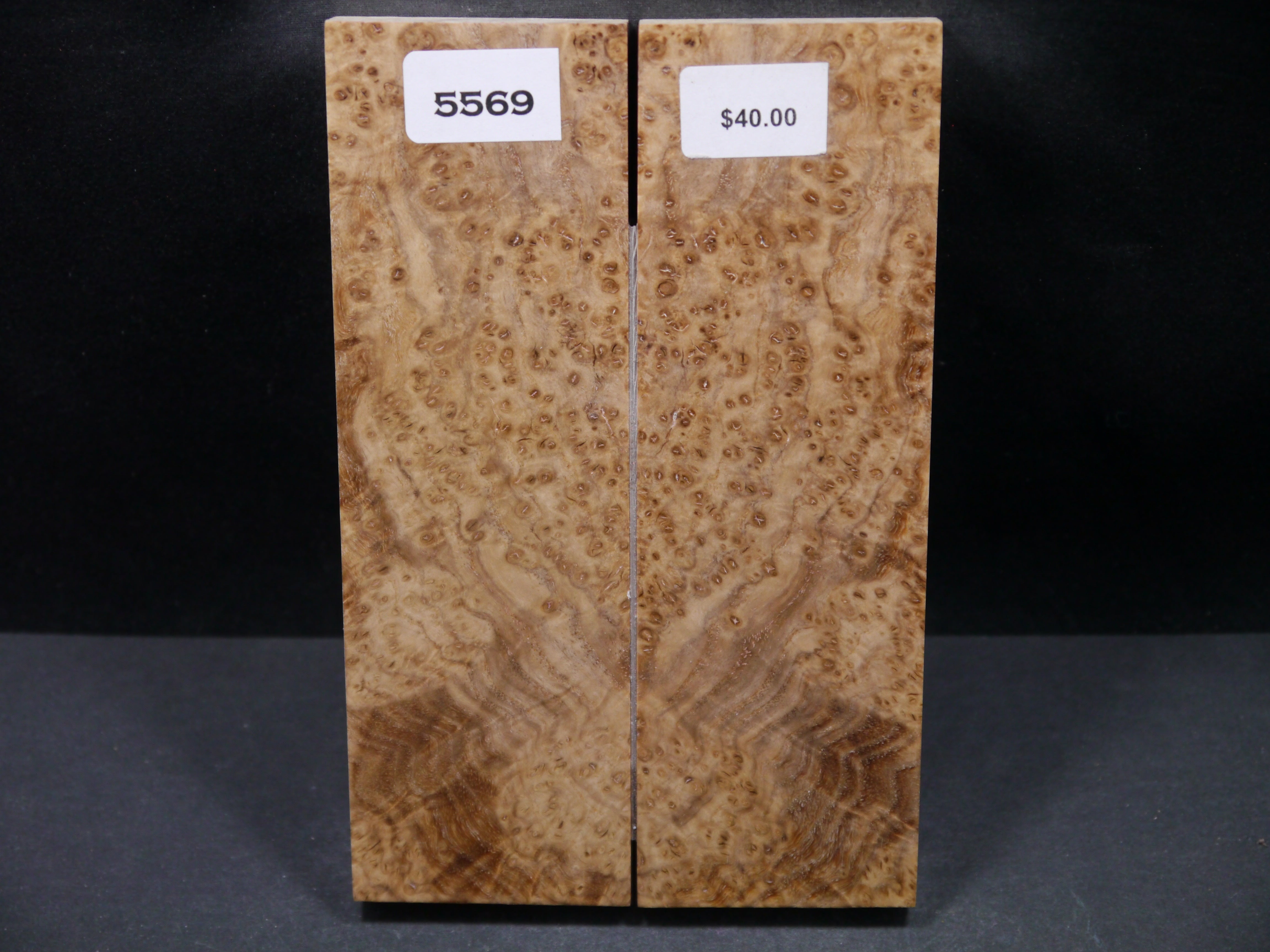 Stabilized Black Ash Burl Scales SW5569