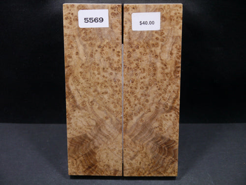 Stabilized Black Ash Burl Scales SW5569