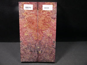 Stabilized Double Dyed Box Elder Scales SW5571