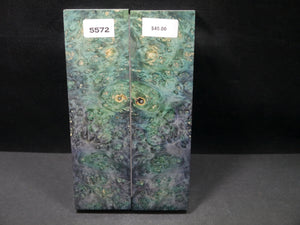 Stabilized Double Dyed Box Elder Scales SW5572