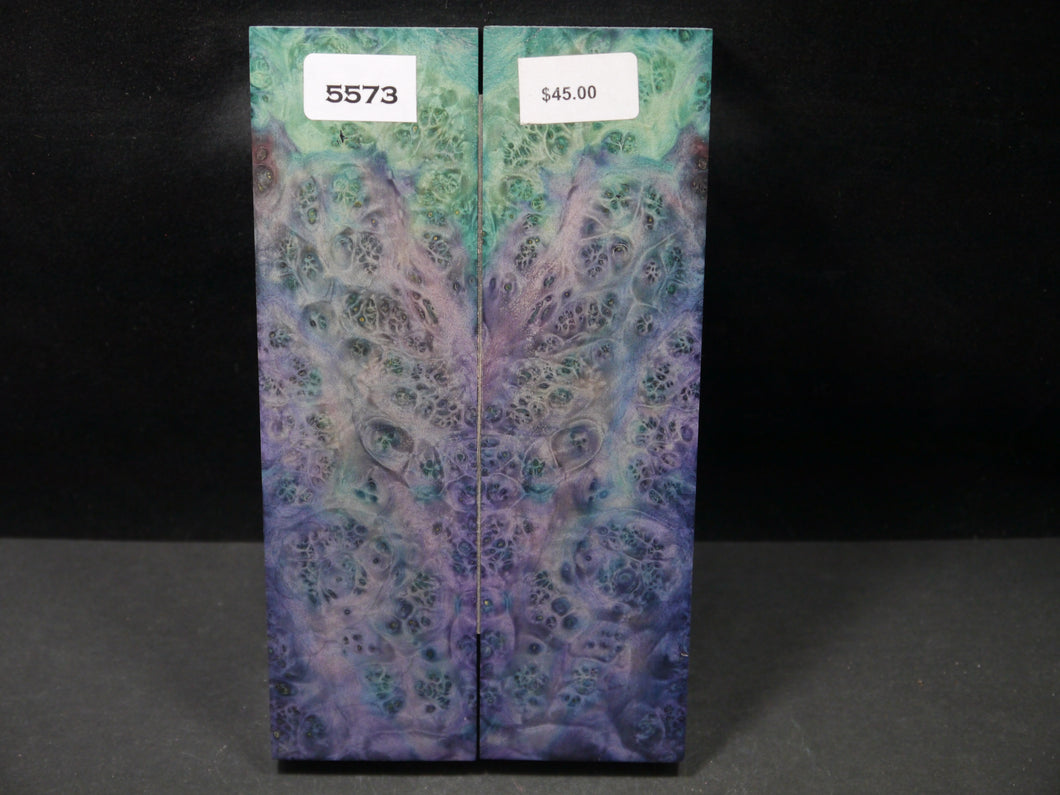 Stabilized Double Dyed Box Elder Scales SW5573