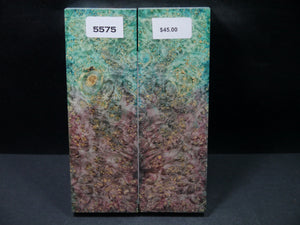 Stabilized Double Dyed Box Elder Scales SW5575