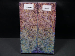 Stabilized Double Dyed Box Elder Scales SW5576