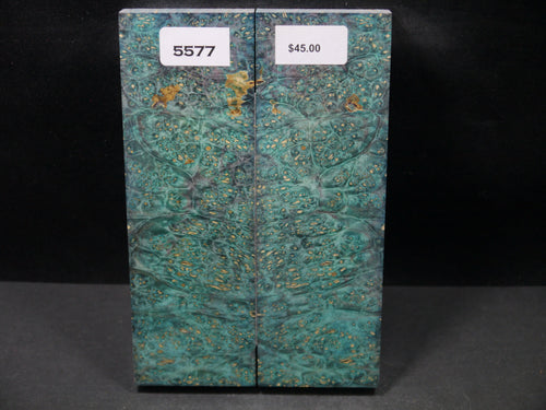 Stabilized Double Dyed Box Elder Scales SW5577