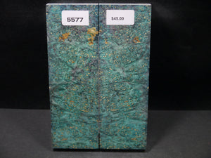 Stabilized Double Dyed Box Elder Scales SW5577