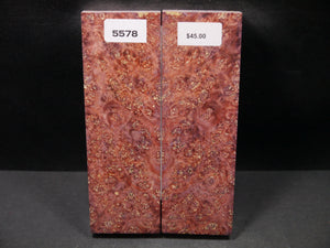 Stabilized Double Dyed Box Elder Scales SW5578