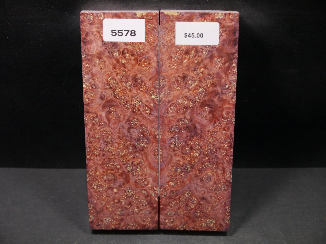 Stabilized Double Dyed Box Elder Scales SW5578