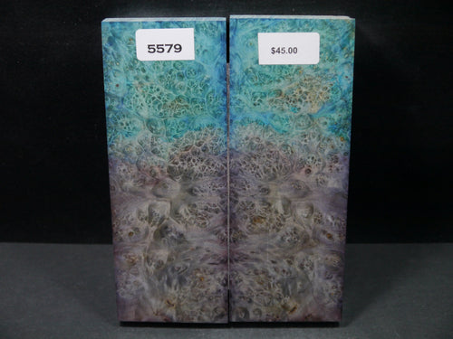 Stabilized Double Dyed Box Elder Scales SW5579